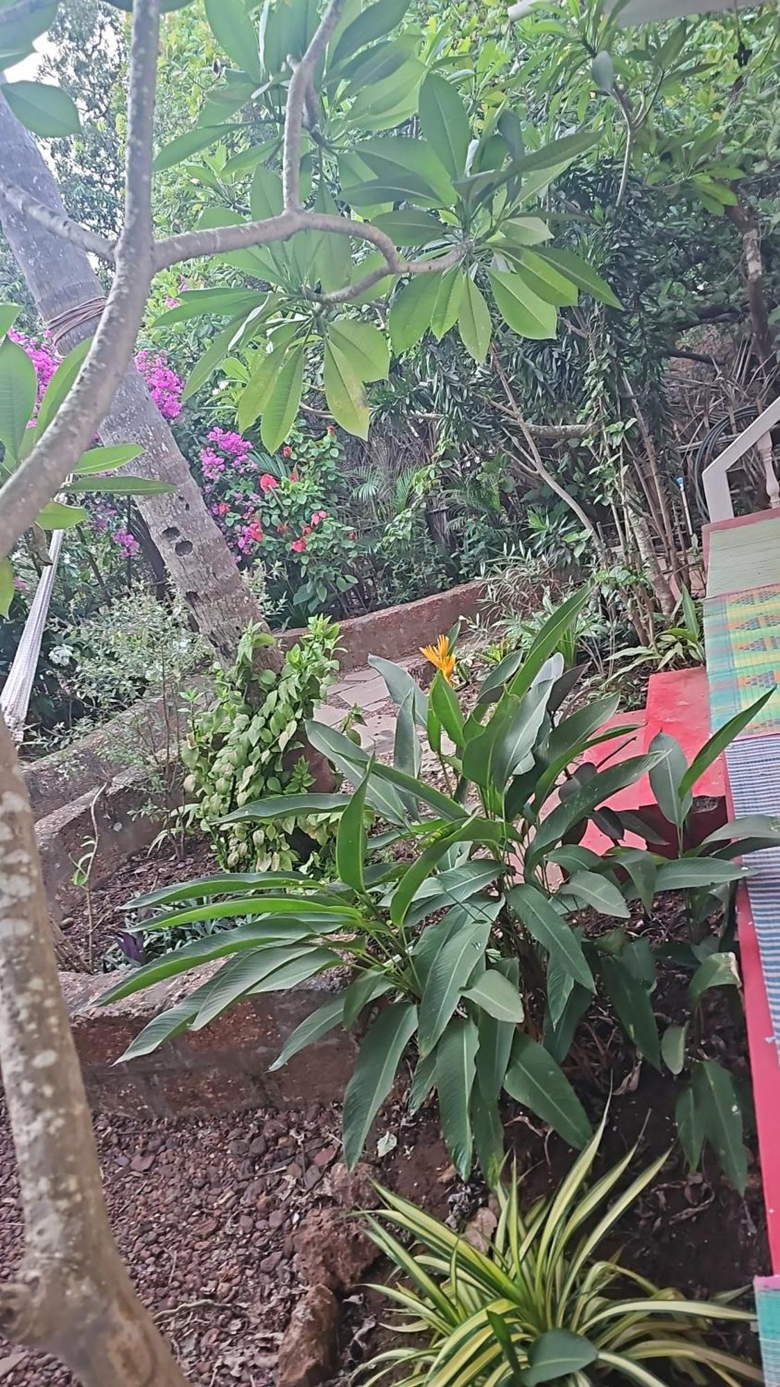 Laxmi Happy Home In Querim Goa Extérieur photo
