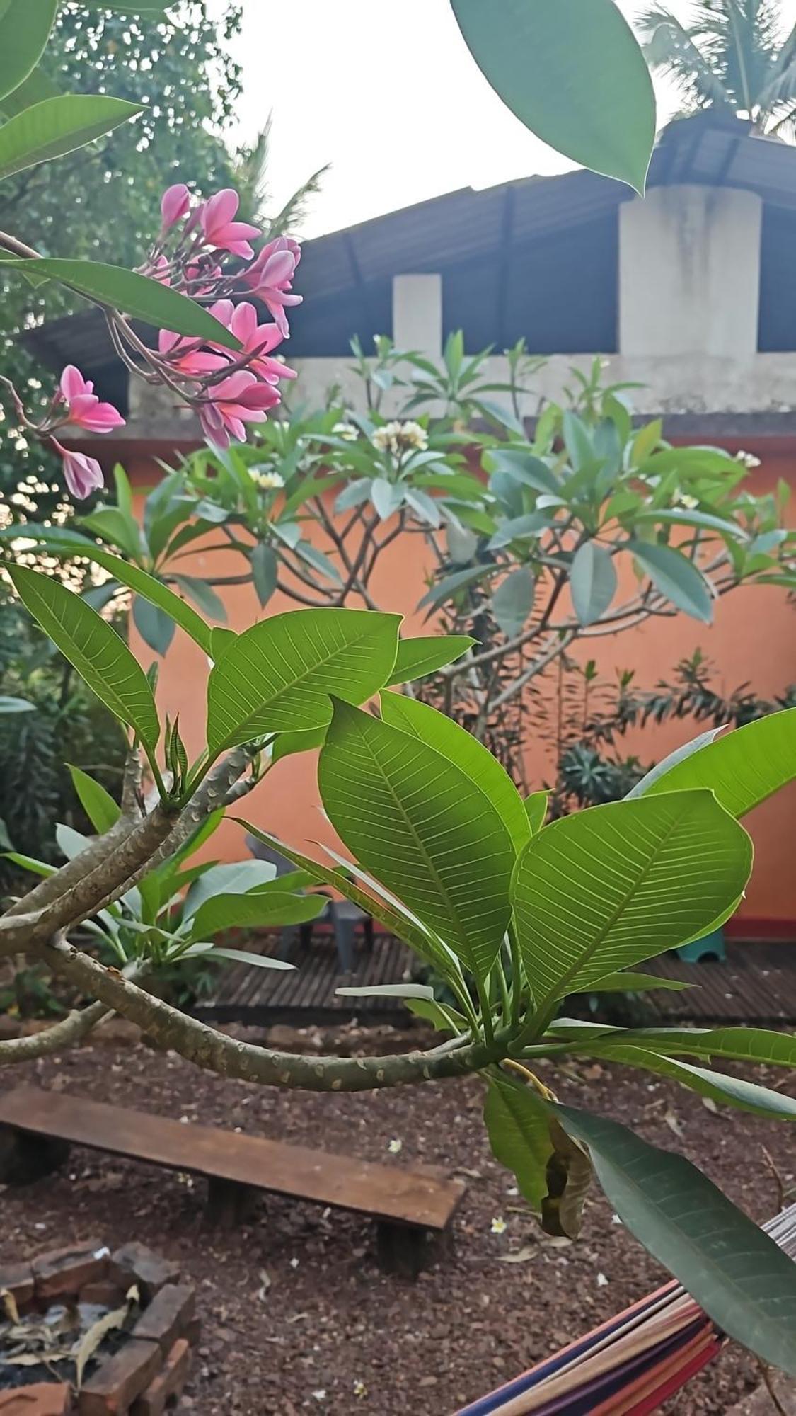 Laxmi Happy Home In Querim Goa Extérieur photo